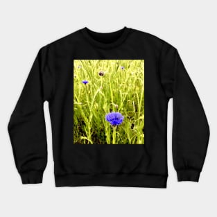 Blue Cornflower on a Field Crewneck Sweatshirt